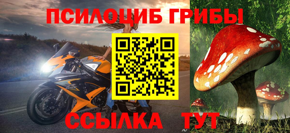 Галлюциногенные грибы Cubensis  Вход с VPN  Галлюциногенные грибы Psilocybe  Бор 