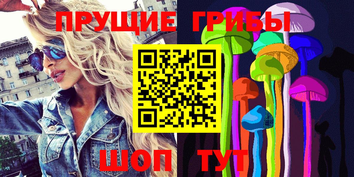Псилоцибиновые грибы GOLDEN TEACHER Бор